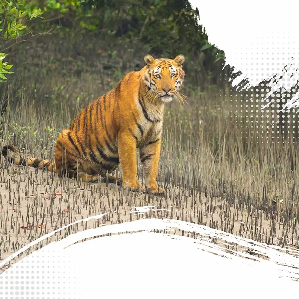 Sundarban 2 Nights 3 Days Tour Package