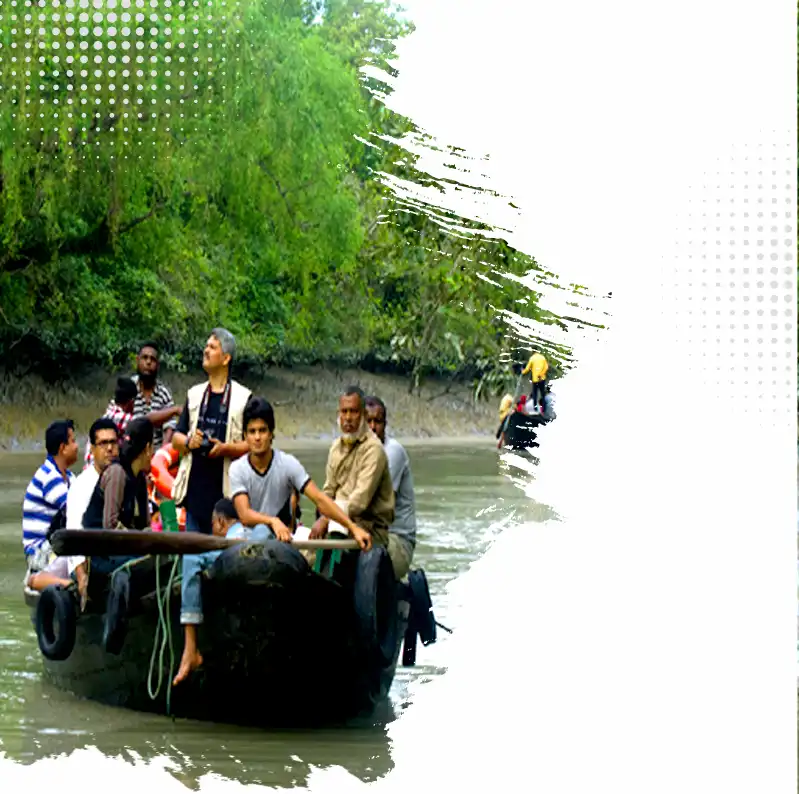 Sundarban Tour Service
